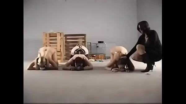 My Life As A Pet